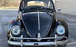 1966 Beetle Thumbnail 5