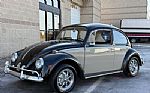 1966 Beetle Thumbnail 2