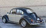 1966 Beetle Thumbnail 4