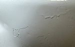 1979 Corvette Coupe Thumbnail 25