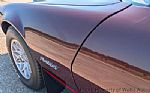 1980 Firebird Thumbnail 22