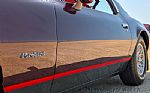 1980 Firebird Thumbnail 32