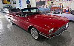 1966 Thunderbird Thumbnail 3