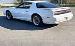 1991 Trans Am GTA Thumbnail 5