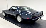 1981 Firebird Trans Am Thumbnail 3
