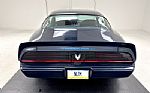 1981 Firebird Trans Am Thumbnail 4