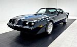 1981 Firebird Trans Am Thumbnail 1