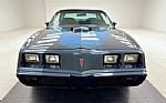 1981 Firebird Trans Am Thumbnail 8