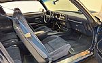 1981 Firebird Trans Am Thumbnail 54