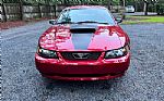 2004 Mustang Thumbnail 4