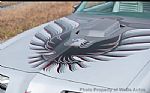 1979 Trans Am Thumbnail 9