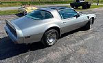 1979 Trans Am Thumbnail 28