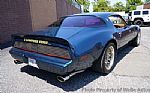 1979 Firebird Thumbnail 11