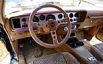 1979 Firebird Thumbnail 23