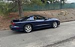 2002 Firebird Trans Am WS6 Thumbnail 4