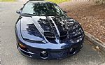2002 Firebird Trans Am WS6 Thumbnail 10