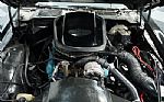 1979 Firebird Trans Am Thumbnail 3