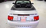 2004 Mustang Convertible Thumbnail 13