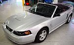 2004 Mustang Convertible Thumbnail 24