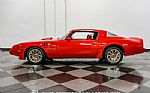 1979 Firebird Trans Am Tribute Thumbnail 2