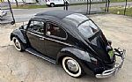 1959 Beetle Thumbnail 2
