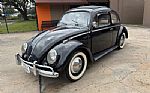 1959 Beetle Thumbnail 3