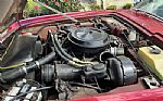 1983 Avanti Thumbnail 16