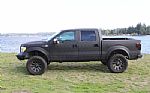 2011 F-150 Thumbnail 5