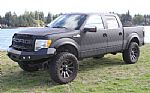 2011 F-150 Thumbnail 1