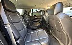 2019 Escalade Thumbnail 36