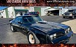 1979 Firebird Trans Am Thumbnail 1