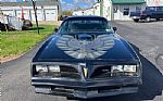 1979 Firebird Trans Am Thumbnail 4