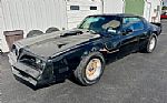 1979 Firebird Trans Am Thumbnail 7