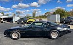 1979 Firebird Trans Am Thumbnail 9