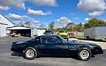 1979 Firebird Trans Am Thumbnail 8