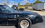 1979 Firebird Trans Am Thumbnail 19