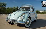 1966 Beetle Thumbnail 2