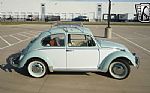 1966 Beetle Thumbnail 5