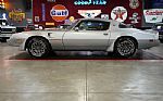 1979 Trans Am Thumbnail 19