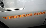 1979 Trans Am Thumbnail 54