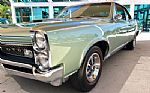 1967 GTO Thumbnail 10
