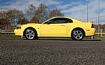 2001 Mustang Thumbnail 2