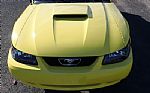 2001 Mustang Thumbnail 9