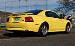 2001 Mustang Thumbnail 7