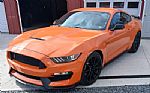 2020 Mustang Thumbnail 6