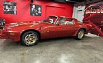 1976 Trans Am Thumbnail 24