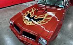 1976 Trans Am Thumbnail 61