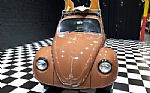 1967 Beetle Thumbnail 7