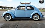 1955 Beetle Thumbnail 4