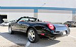 2002 Thunderbird 2dr Conv w/Hardtop Thumbnail 10